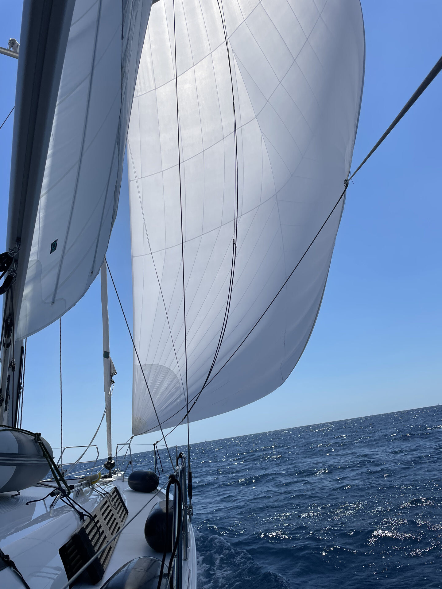 Hanse 460 freebe